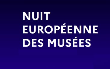 Nuit des musées à Pau