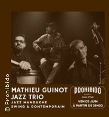 Mathieu Guinot Jazz Trio