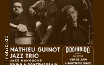 Mathieu Guinot Jazz Trio