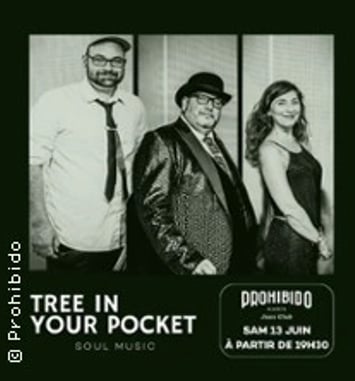 Tree in Your Pocket