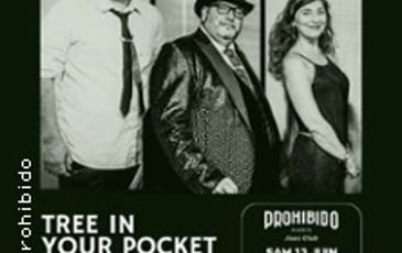 Tree in Your Pocket