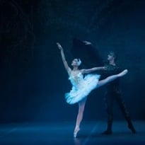 Le Lac des Cygnes, Sofia City Ballet