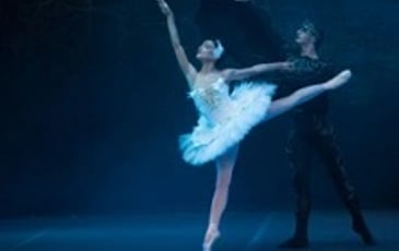 Le Lac des Cygnes, Sofia City Ballet