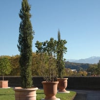 Visite commentée des jardins historiques