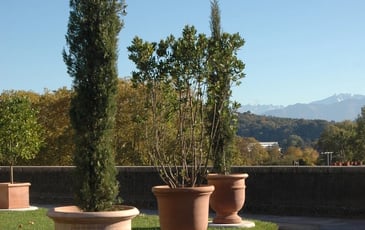 Visite commentée des jardins historiques