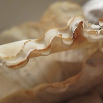 Exposition : "Série B : le feu ça brûle et l'eau ça mouille"
