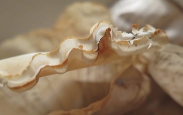 Exposition : "Série B : le feu ça brûle et l'eau ça mouille"