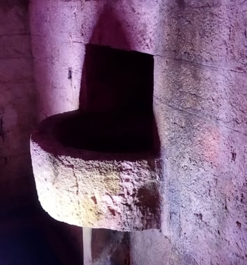 Visite commentée de la crypte du Bayaà et des collections archéologiques liées au passé saunier de Salies-de-Béarn