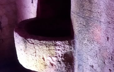 Visite commentée de la crypte du Bayaà et des collections archéologiques liées au passé saunier de Salies-de-Béarn