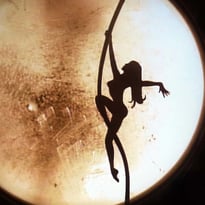 Dark Circus