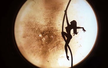 Dark Circus