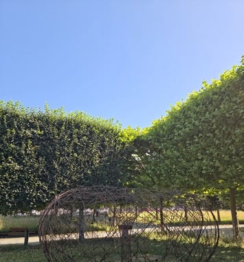 Exposition : land art sensoriel