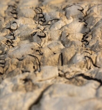 Exposition "Série B : le feu ça brûle et l'eau ça mouille "