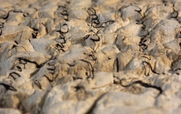 Exposition "Série B : le feu ça brûle et l'eau ça mouille "
