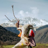 Exposition "Bonté d'Ovine, la colporteuse" de Natacha Sansoz