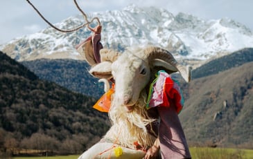 Exposition "Bonté d'Ovine, la colporteuse" de Natacha Sansoz