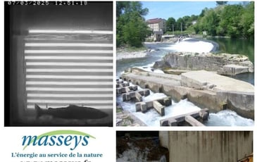 Le gave d'Oloron : production hydroélectrique et poissons migrateurs
