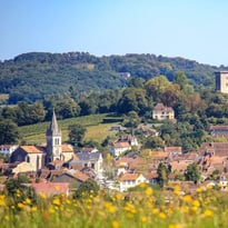 Visite guidée d'Orthez, ancienne capitale de la vicomté du Béarn