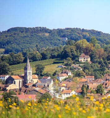 Visite guidée d'Orthez, ancienne capitale de la vicomté du Béarn