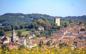 Visite guidée d'Orthez, ancienne capitale de la vicomté du Béarn