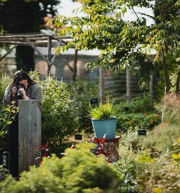 Visite commentée : un itinéraire et des connexions ancestrales des hommes et des plantes