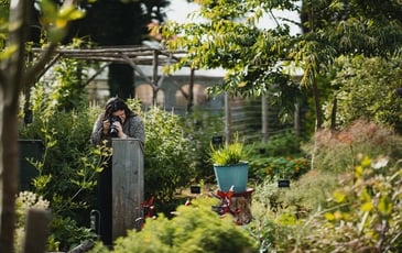 Visite commentée : un itinéraire et des connexions ancestrales des hommes et des plantes