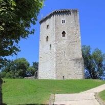 Visite libre de la demeure des vicomtes de Béarn