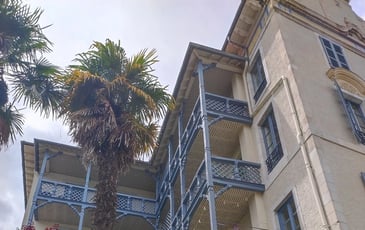 Exposition immersive : Le patrimoine en danger n'est pas une fatalité !