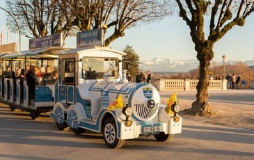 Visite guidée du centre ville en Petit Train