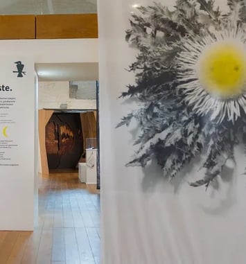 L'exposition « Mitologia, sur les chemins des légendes basques » à découvrir en visite guidée