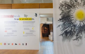 L'exposition « Mitologia, sur les chemins des légendes basques » à découvrir en visite guidée