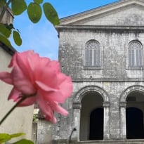 Découverte d'un temple et visite de l'exposition "Église verte"