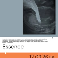Essence — Exposition inaugurale à la Galerie Virginie Baro