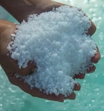 Visite commentée des salines