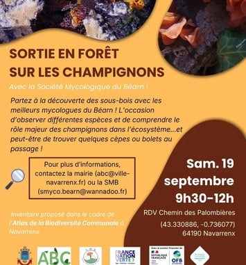 Sortie champignons