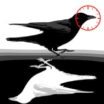 Spectacle : Faites entrer l'accusée