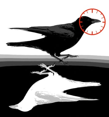 Spectacle : Faites entrer l'accusée