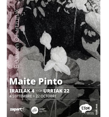 Exposition de Maité Pinto : "Bidaiaren oihartzunak" - "Echos de voyage"