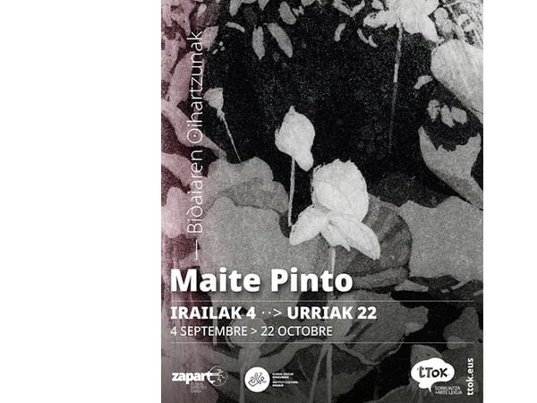 Exposition de Maité Pinto : "Bidaiaren oihartzunak" - "Echos de voyage"