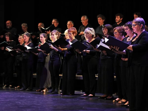 Concert Orchestre Symphonique du Pays Basque : L'Arlésienne de Georges Bizet