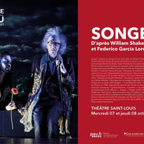 Saison Théâtre à Pau - Songe