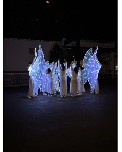 Arcangues en lumière