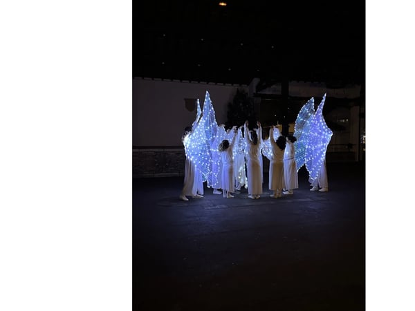 Arcangues en lumière