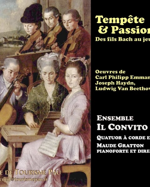 "Tempête & Passion - Des fils Bach au jeune Beethoven"