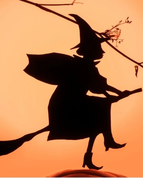 Exposition : Sorcières