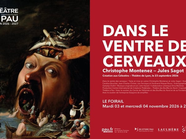Saison Théâtre à Pau - Dans le ventre des cerveaux