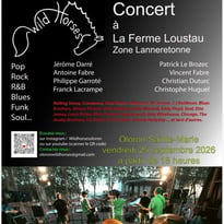 Concert des Wild Horses