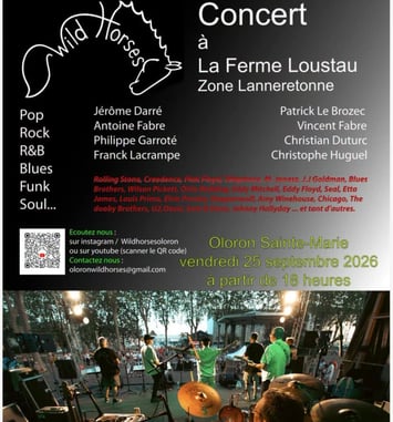 Concert des Wild Horses