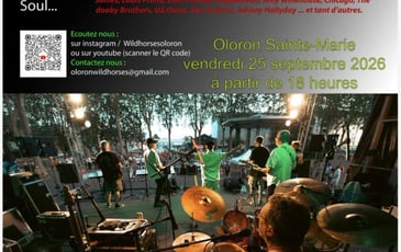 Concert des Wild Horses