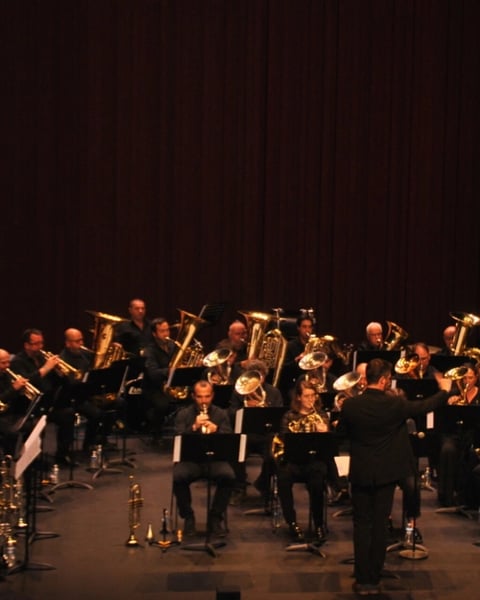 Concert "Donibaneko Haizeak"